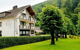 Harz hotel Iris
